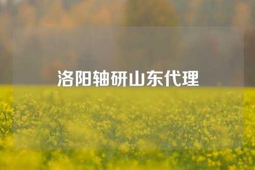 洛阳轴研山东代理