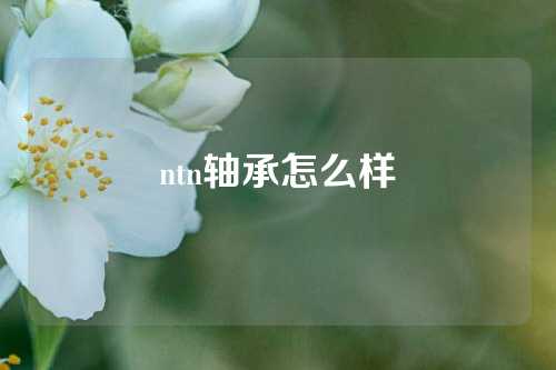 ntn轴承怎么样