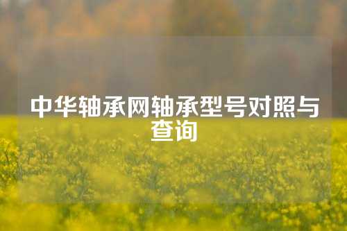 中华轴承网轴承型号对照与查询