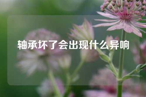 轴承坏了会出现什么异响