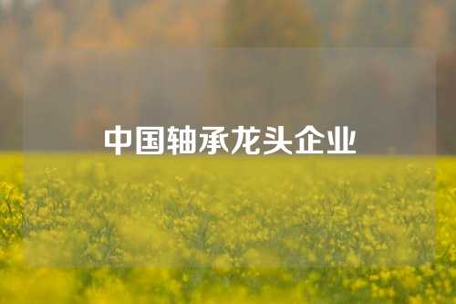 中国轴承龙头企业