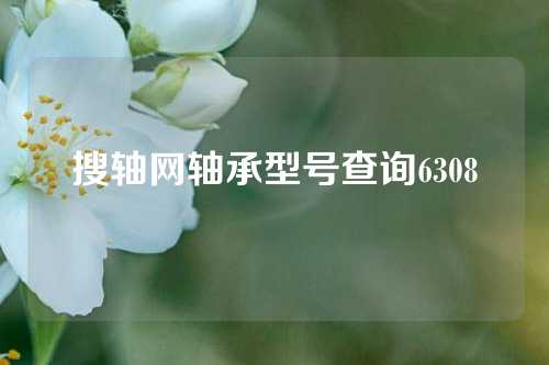 搜轴网轴承型号查询6308