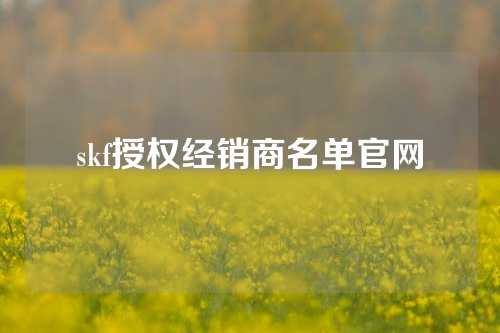 skf授权经销商名单官网