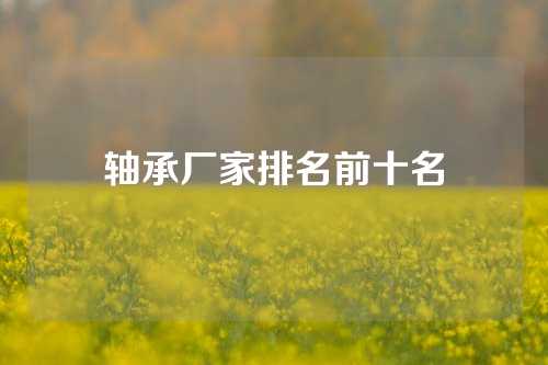 轴承厂家排名前十名