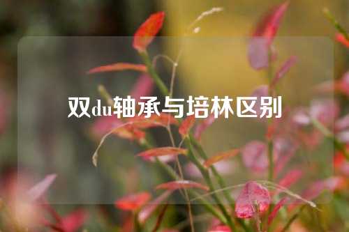 双du轴承与培林区别