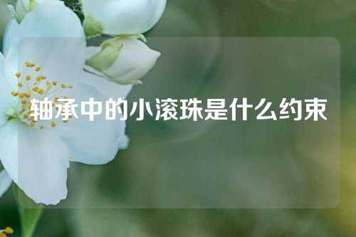 轴承中的小滚珠是什么约束