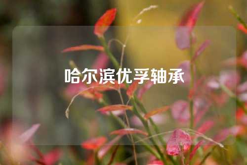 哈尔滨优孚轴承