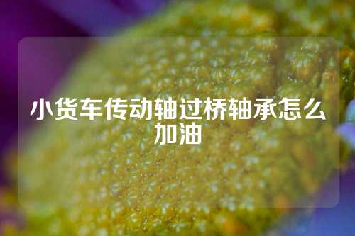 小货车传动轴过桥轴承怎么加油