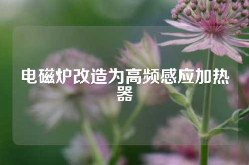 电磁炉改造为高频感应加热器