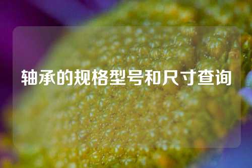 轴承的规格型号和尺寸查询