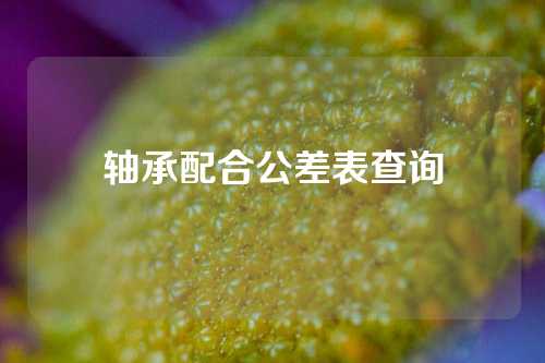 轴承配合公差表查询