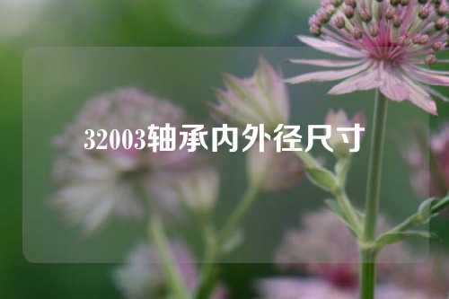 32003轴承内外径尺寸