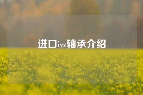 进口ivz轴承介绍