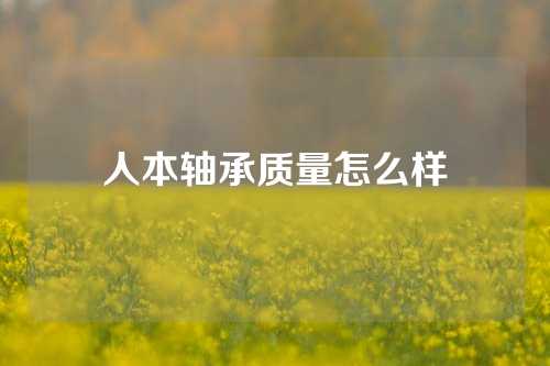 人本轴承质量怎么样