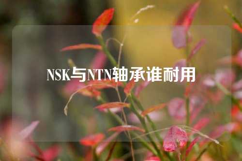 NSK与NTN轴承谁耐用