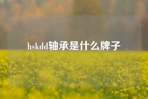 hskdd轴承是什么牌子