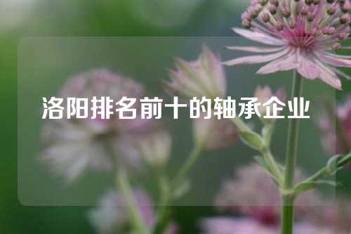 洛阳排名前十的轴承企业