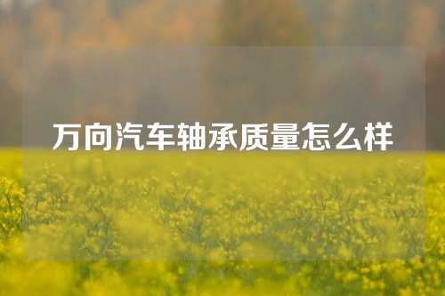 万向汽车轴承质量怎么样