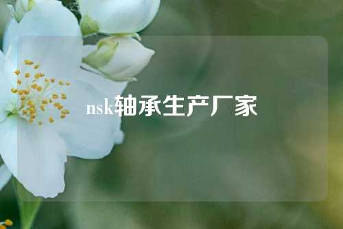 nsk轴承生产厂家