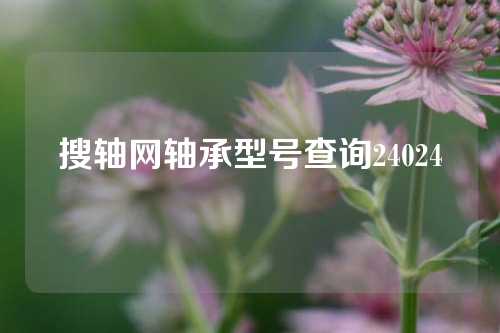 搜轴网轴承型号查询24024