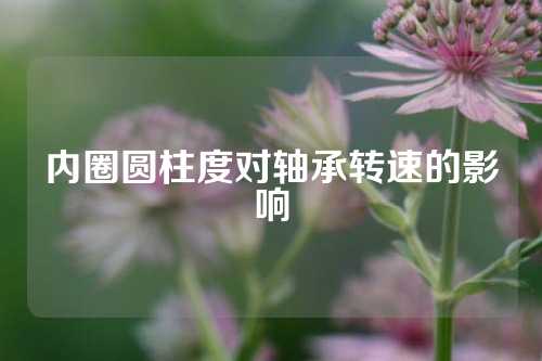 内圈圆柱度对轴承转速的影响