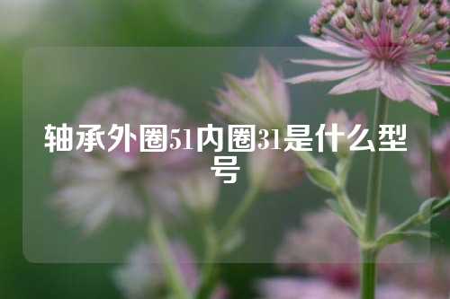 轴承外圈51内圈31是什么型号