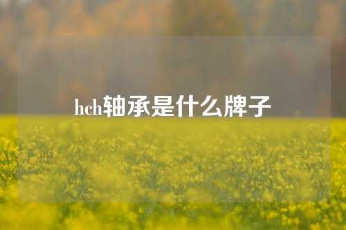 hch轴承是什么牌子