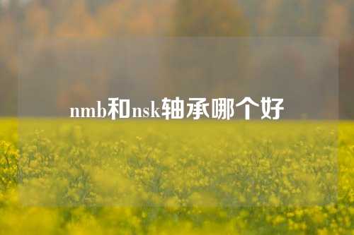 nmb和nsk轴承哪个好