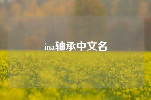 ina轴承中文名