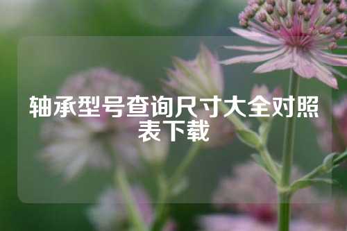 轴承型号查询尺寸大全对照表下载