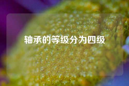 轴承的等级分为四级