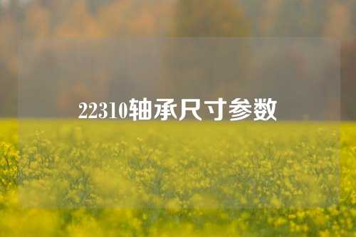 22310轴承尺寸参数