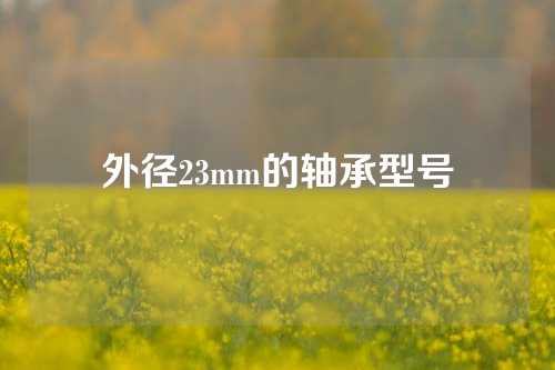 外径23mm的轴承型号