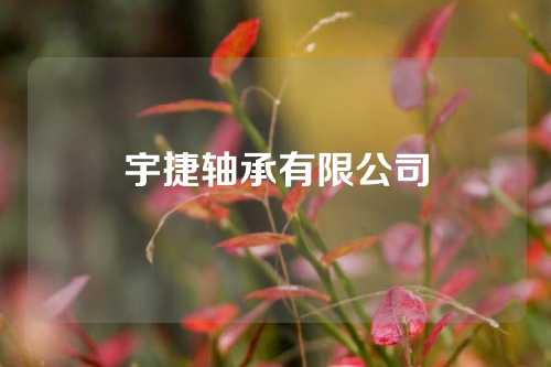 宇捷轴承有限公司