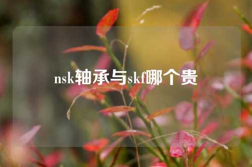 nsk轴承与skf哪个贵