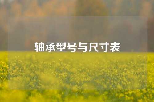 轴承型号与尺寸表