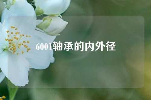 6001轴承的内外径