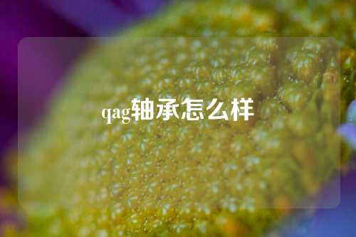 qag轴承怎么样