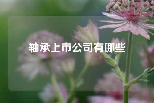 轴承上市公司有哪些