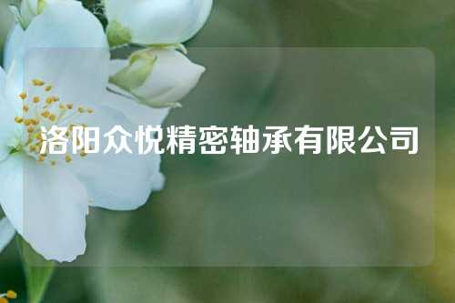 洛阳众悦精密轴承有限公司