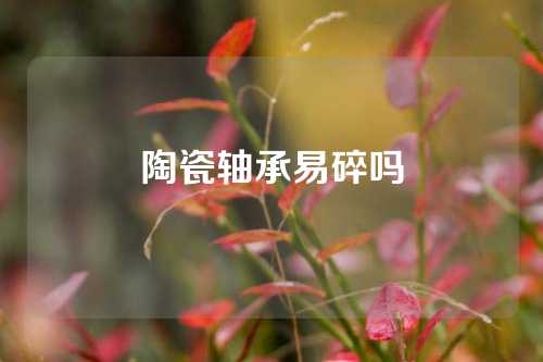 陶瓷轴承易碎吗