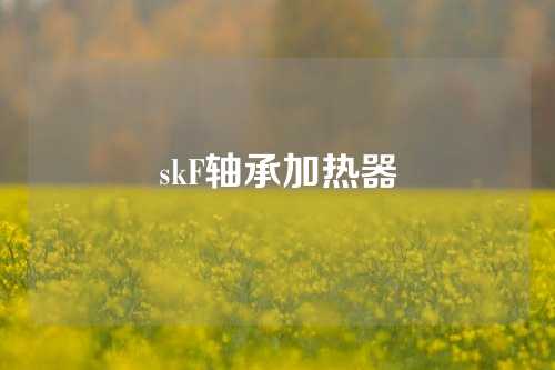 skF轴承加热器