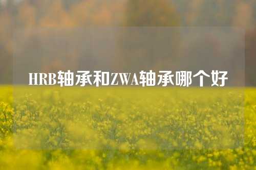 HRB轴承和ZWA轴承哪个好