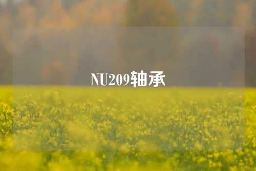 NU209轴承