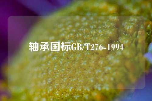 轴承国标GB/T276-1994