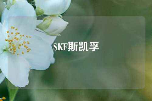 SKF斯凯孚