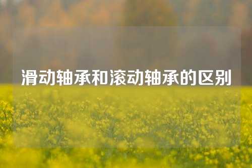 滑动轴承和滚动轴承的区别