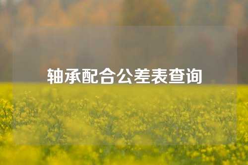 轴承配合公差表查询