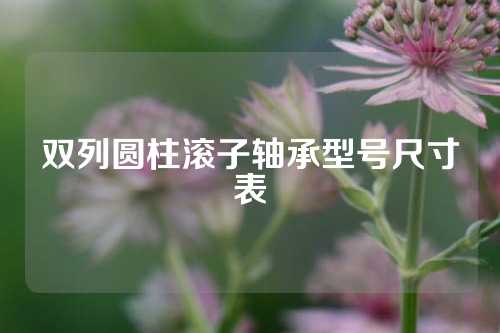 双列圆柱滚子轴承型号尺寸表