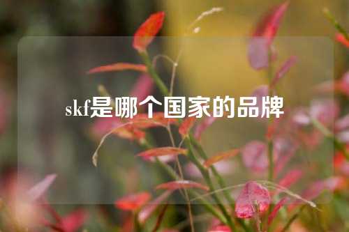 skf是哪个国家的品牌